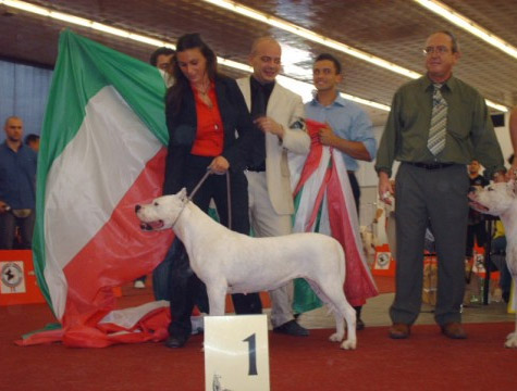 Pimienta Divina Fortitudo Pimienta Divina Fortitudo