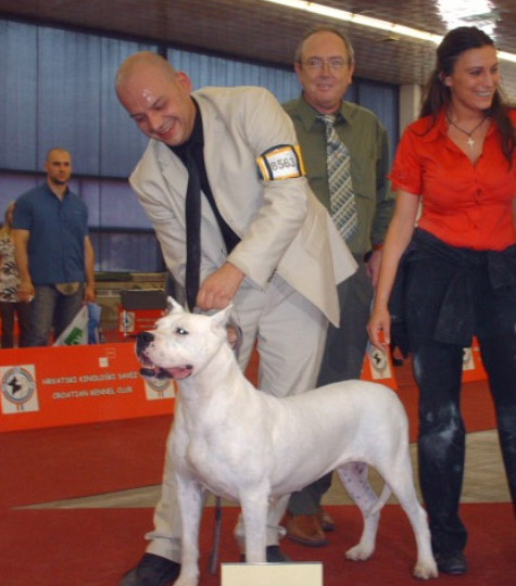 Pimienta Divina Fortitudo Pimienta Divina Fortitudo